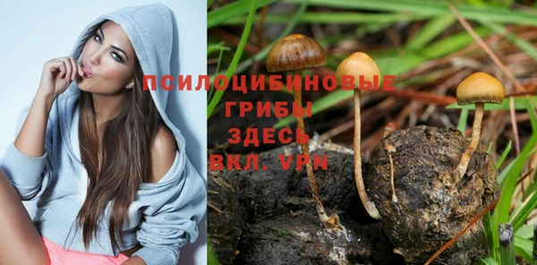 гашишное масло Осинники
