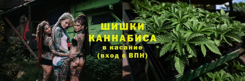 Бошки марихуана Amnesia  hydra ССЫЛКА  Бахчисарай  купить наркоту 